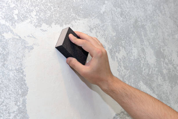 Best Mold-Related Health Consultation  in Ecorse, MI