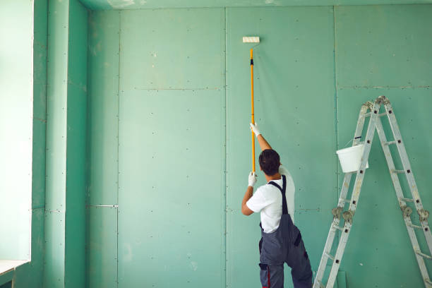 Best Environmental Consulting for Mold Prevention  in Ecorse, MI