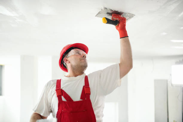 Best Mold Remediation for Healthcare Facilities  in Ecorse, MI