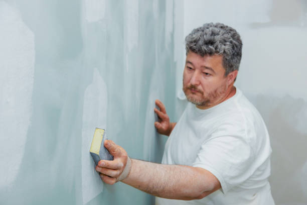 Best Forensic Mold Investigation  in Ecorse, MI